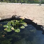 Alto Belo Летний дом Фелгейраш