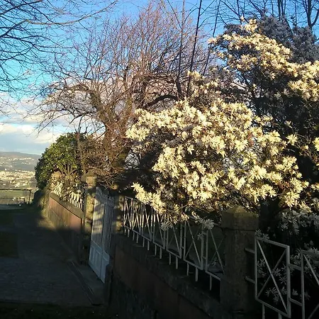 Alto Belo * Фелгейраш