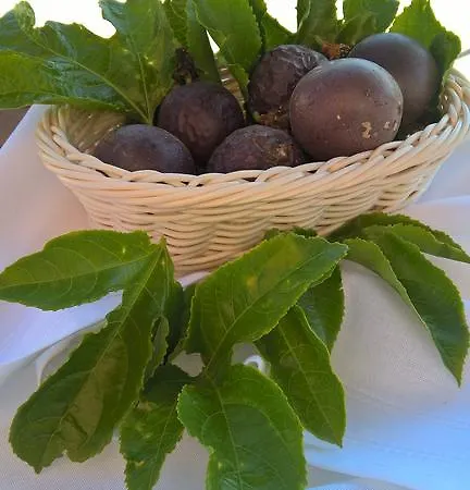 Летний дом Alto Belo