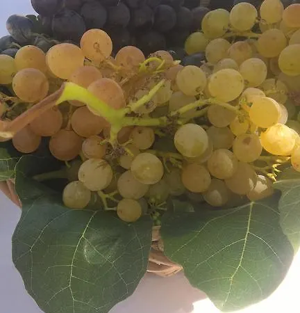 Летний дом Alto Belo *