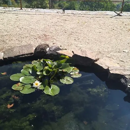 Alto Belo Летний дом Фелгейраш