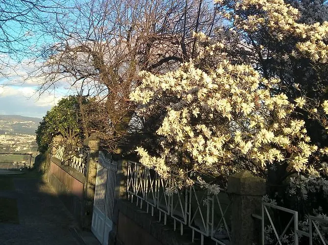 Alto Belo * Felgueiras