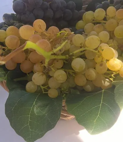 Landhuis Alto Belo *