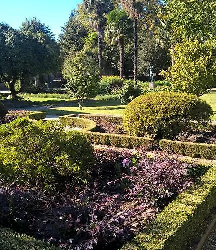 Alto Belo Felgueiras