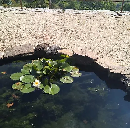 Alto Belo Landhuis Felgueiras